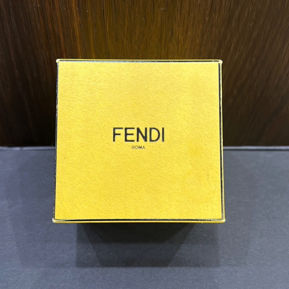 Fendi Earrings